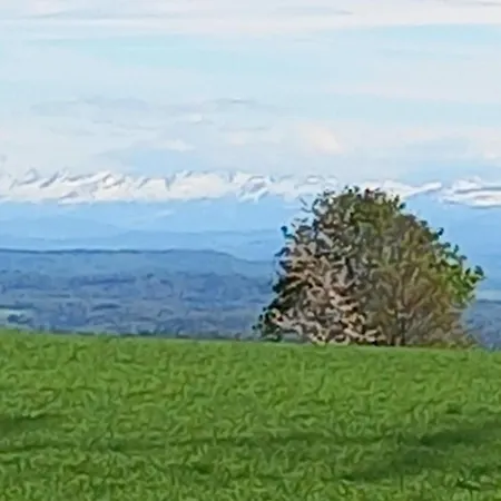 Zur Frohen Einkehr Tengen