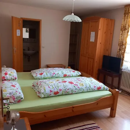 Zur Frohen Einkehr Vendégház Tengen